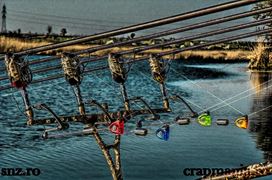 Cupa SBS-2013